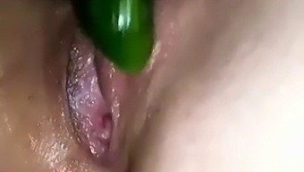 Solo-Weibchen Genießt Masturbation Mit Sexspielzeug