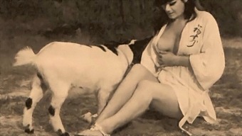 Old School Taboo: Doggy Style With A Twist